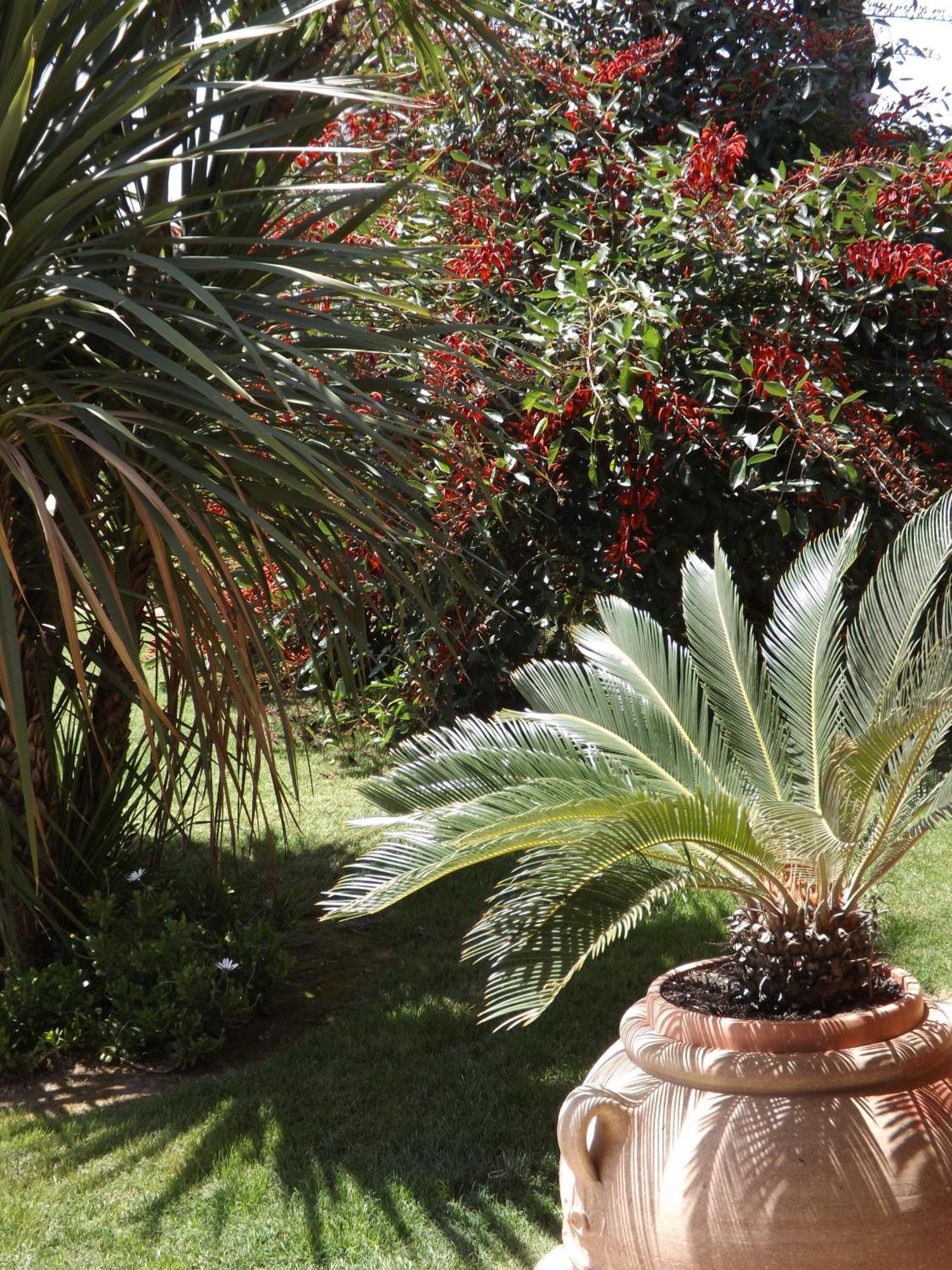 Le Anfore Hotel Villasimius Exterior photo